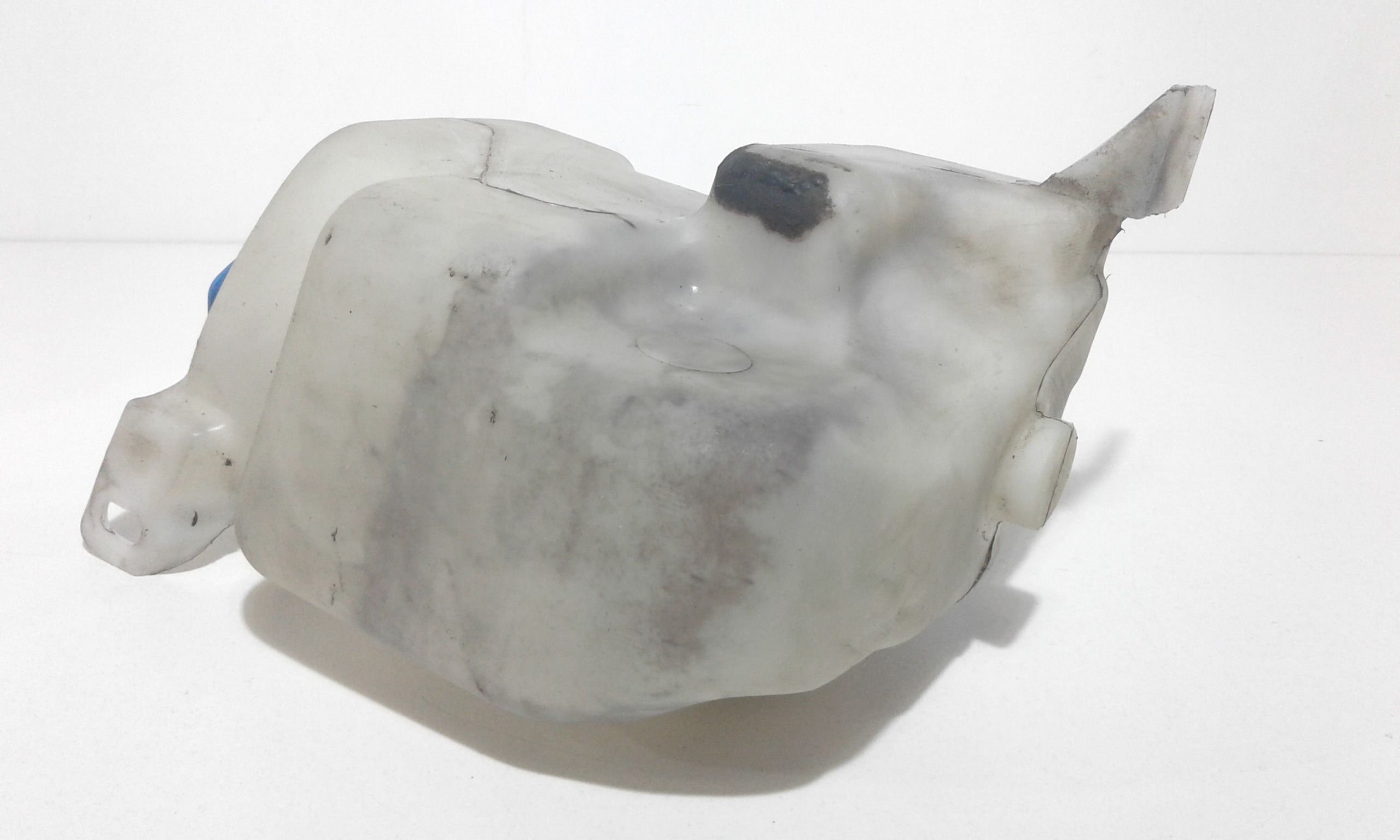 Vaschetta Tergi ant VOLKSWAGEN Golf 4 Berlina