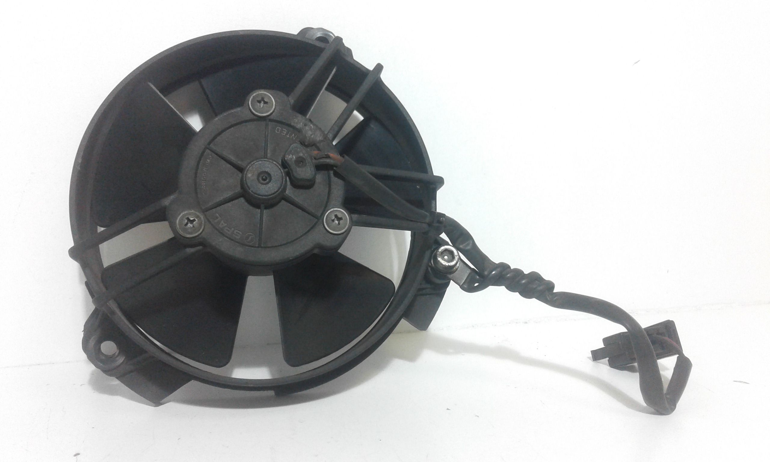 Ventola radiatore Malaguti Password 250cc