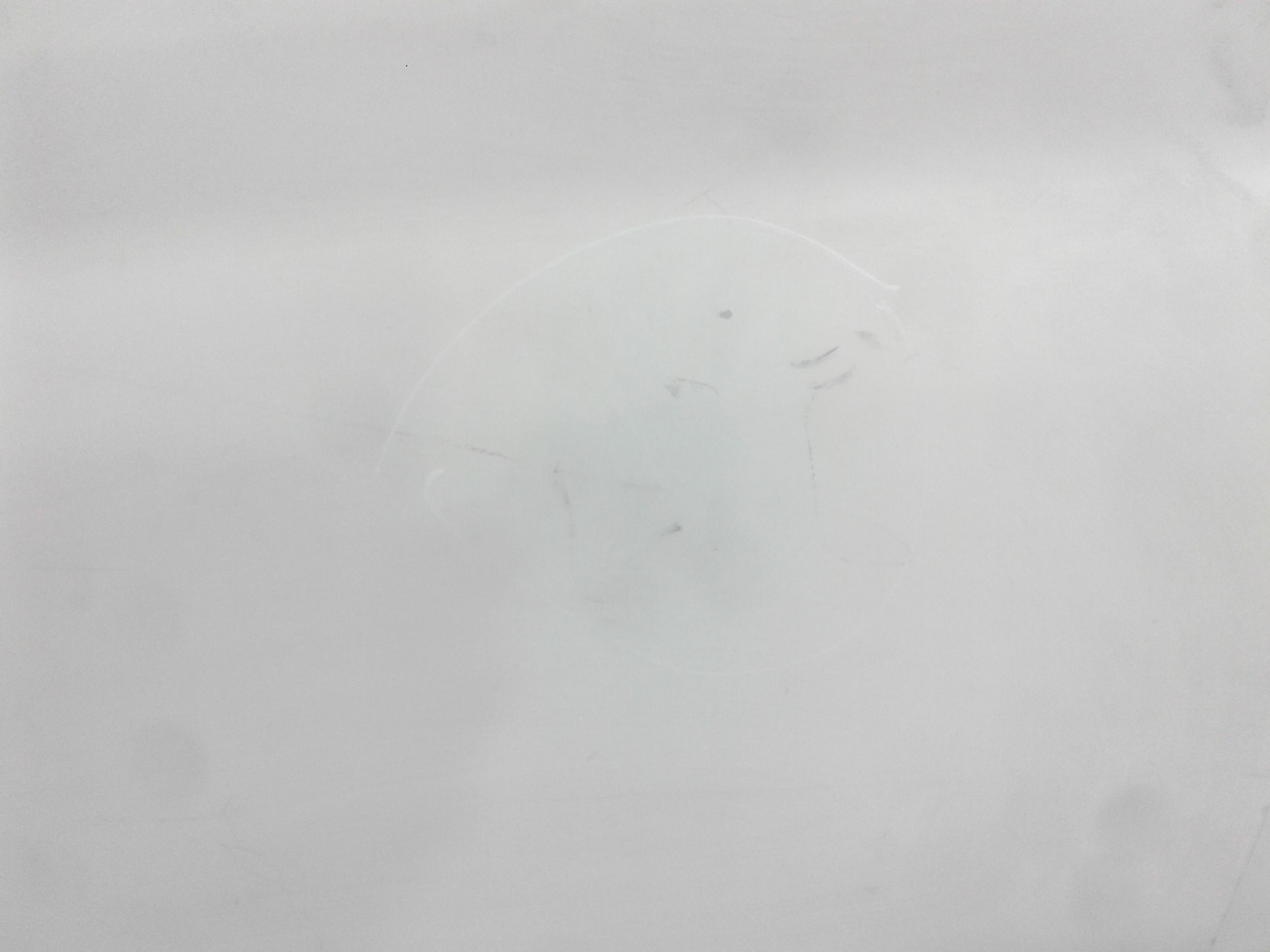 Portiera Anteriore Sinistra FIAT Ducato 4 Serie