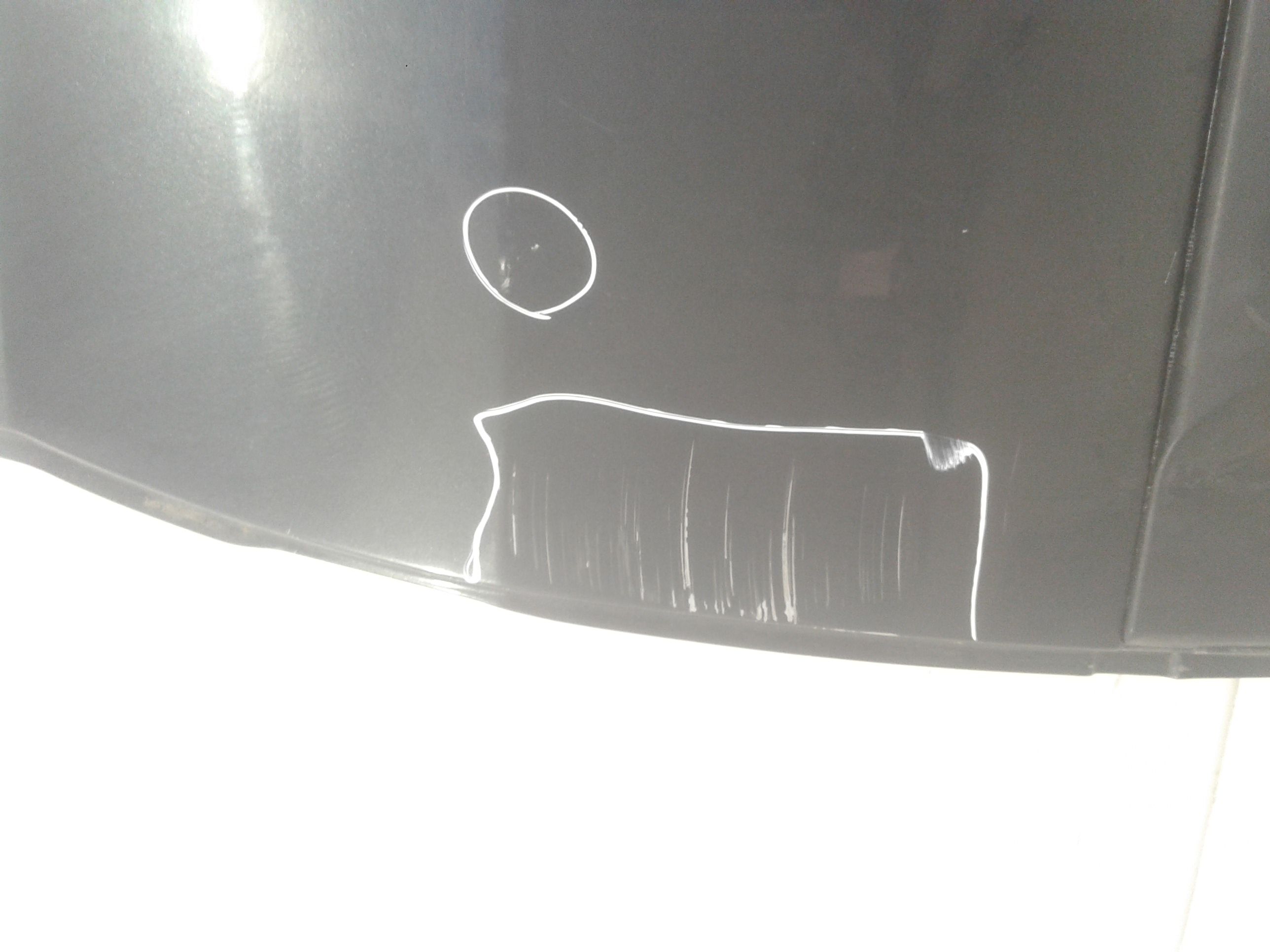 Portiera Posteriore Sinistra DACIA Logan 1 Serie