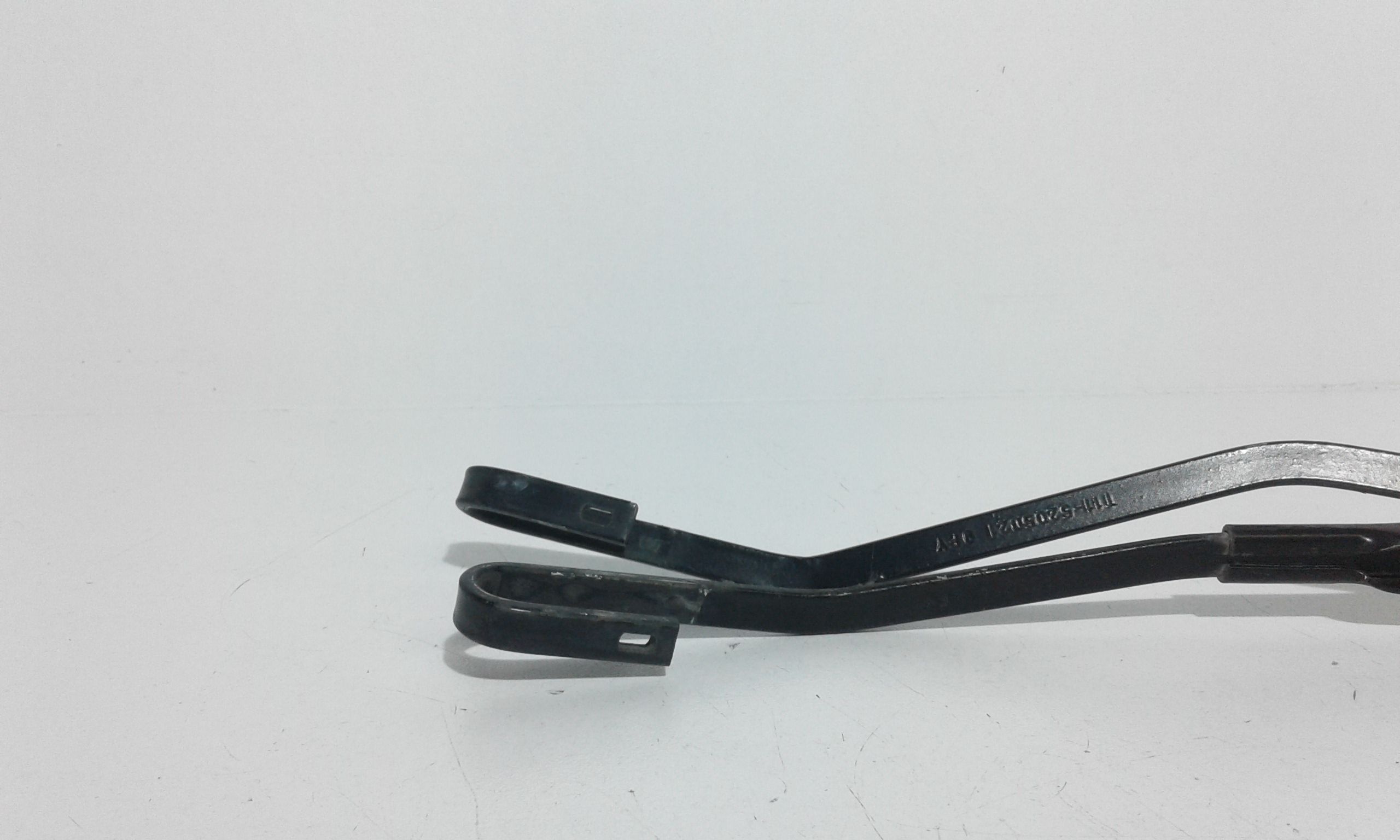 Bracci Tergi ant. DR 5 1 Serie