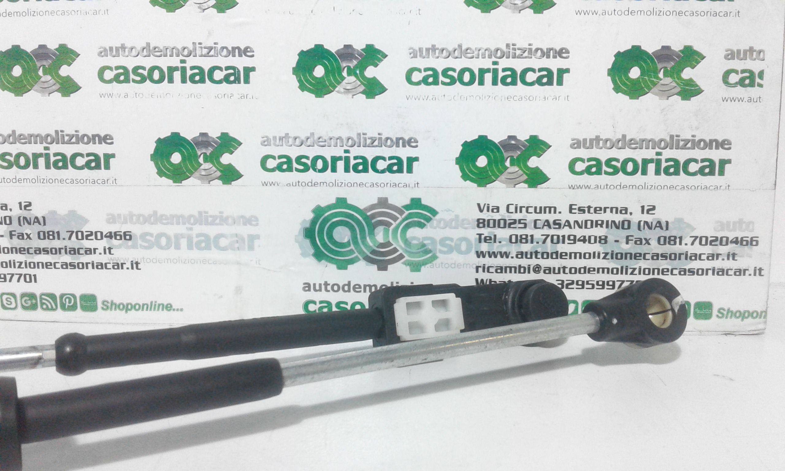 Cavi Marce RENAULT Scenic X MOD