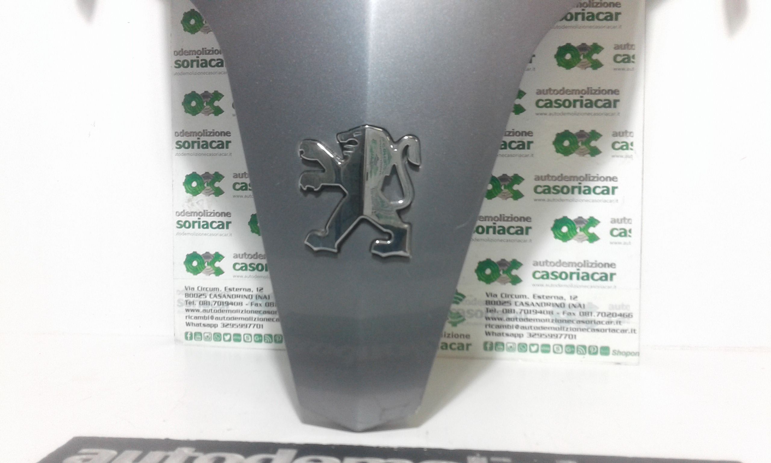 Mascherina carena anteriore PEUGEOT Geopolis 250cc