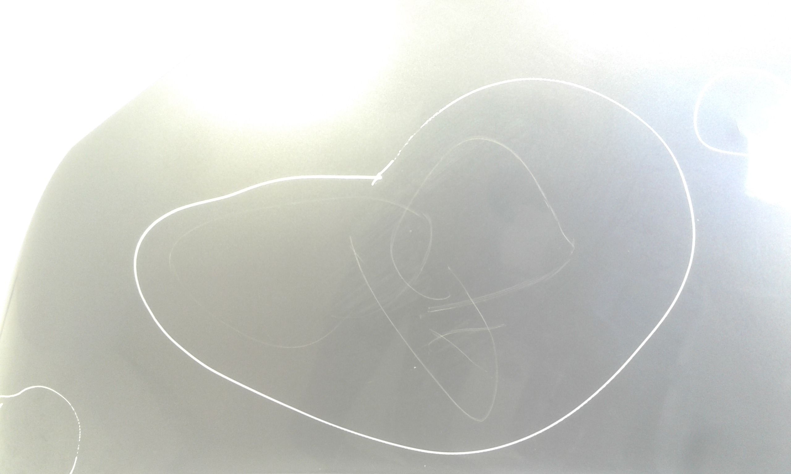 Cofano Anteriore RENAULT Scenic 3 Serie