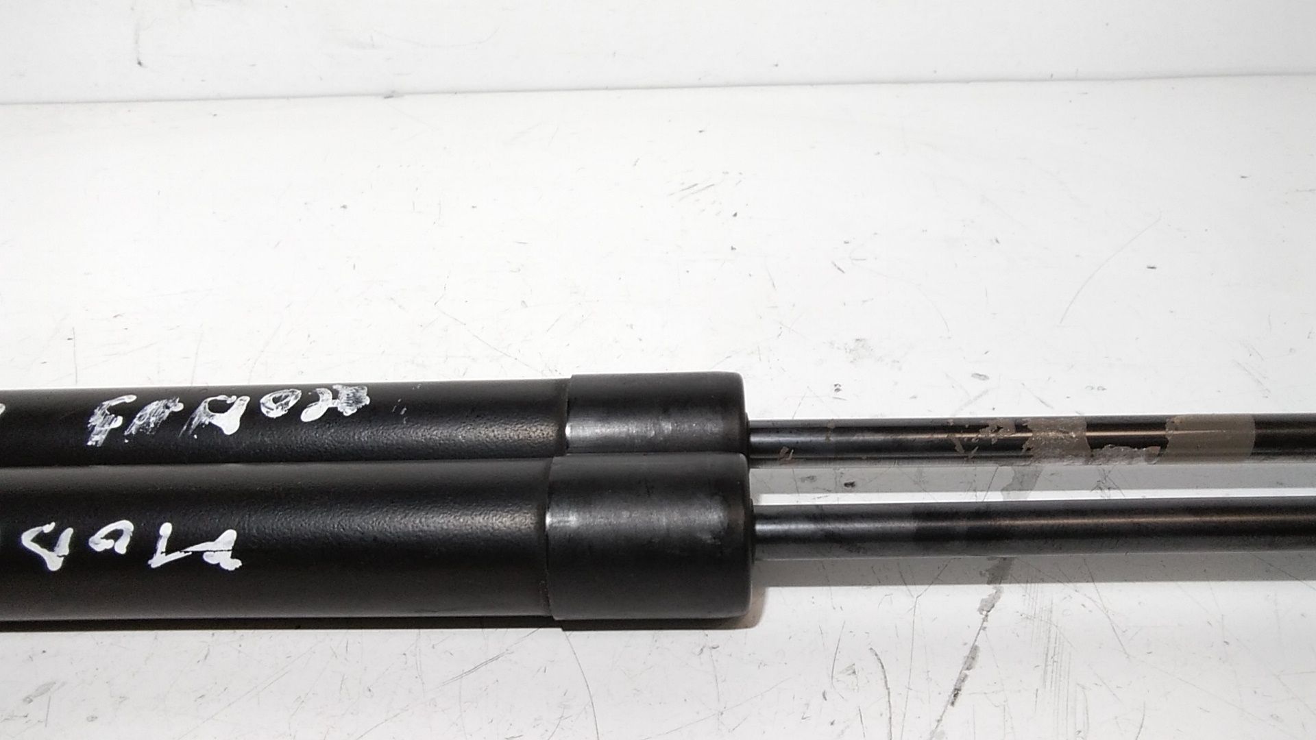 Pistoncini cofano Post. RENAULT Modus 1 Serie