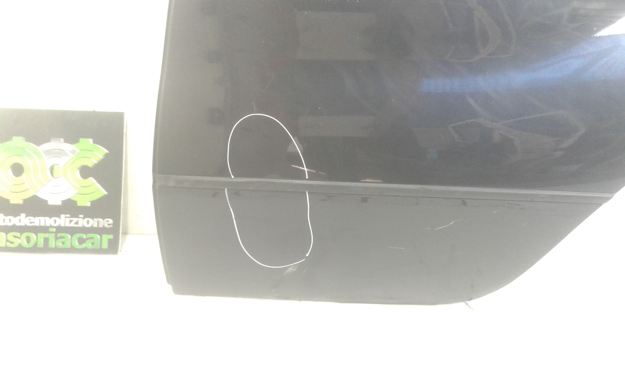 Portiera Posteriore Sinistra BMW X3 1 Serie