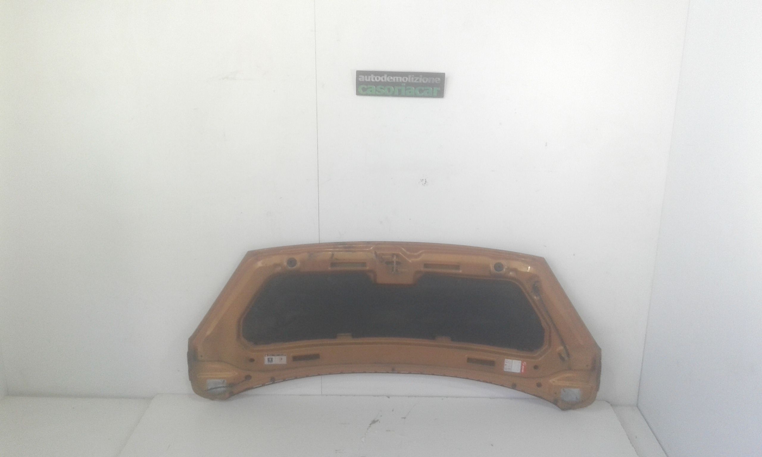 Cofano Anteriore PEUGEOT 1007 1 Serie