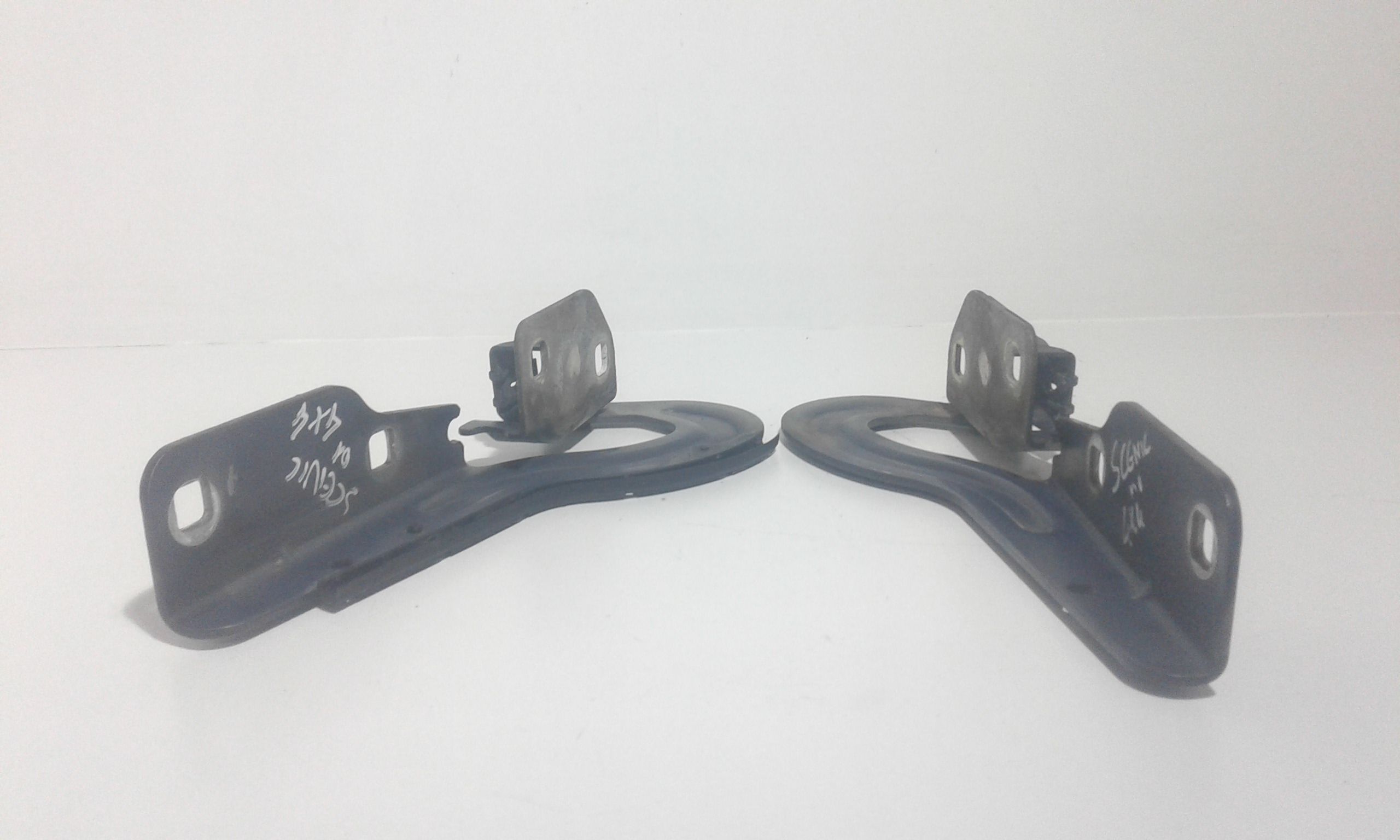 Cerniere cofano anteriore dx e sx RENAULT Scenic RX4