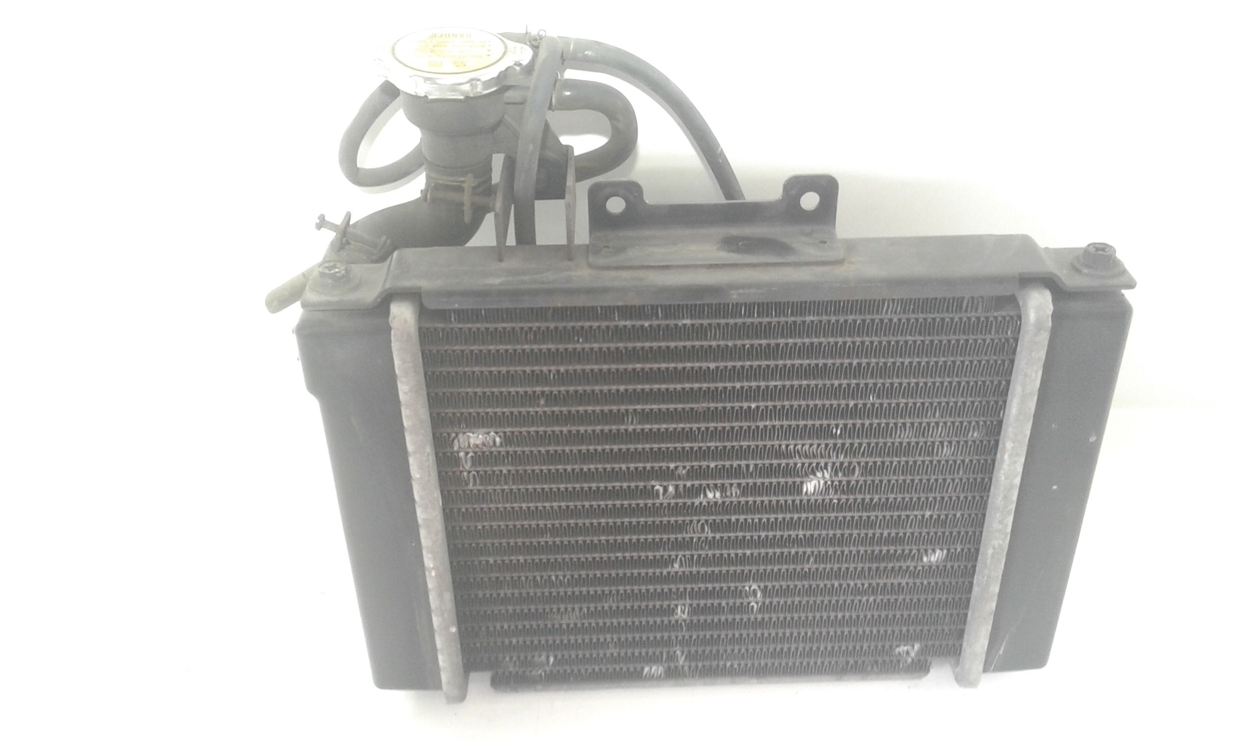 Radiatore acqua Kymco People s 200