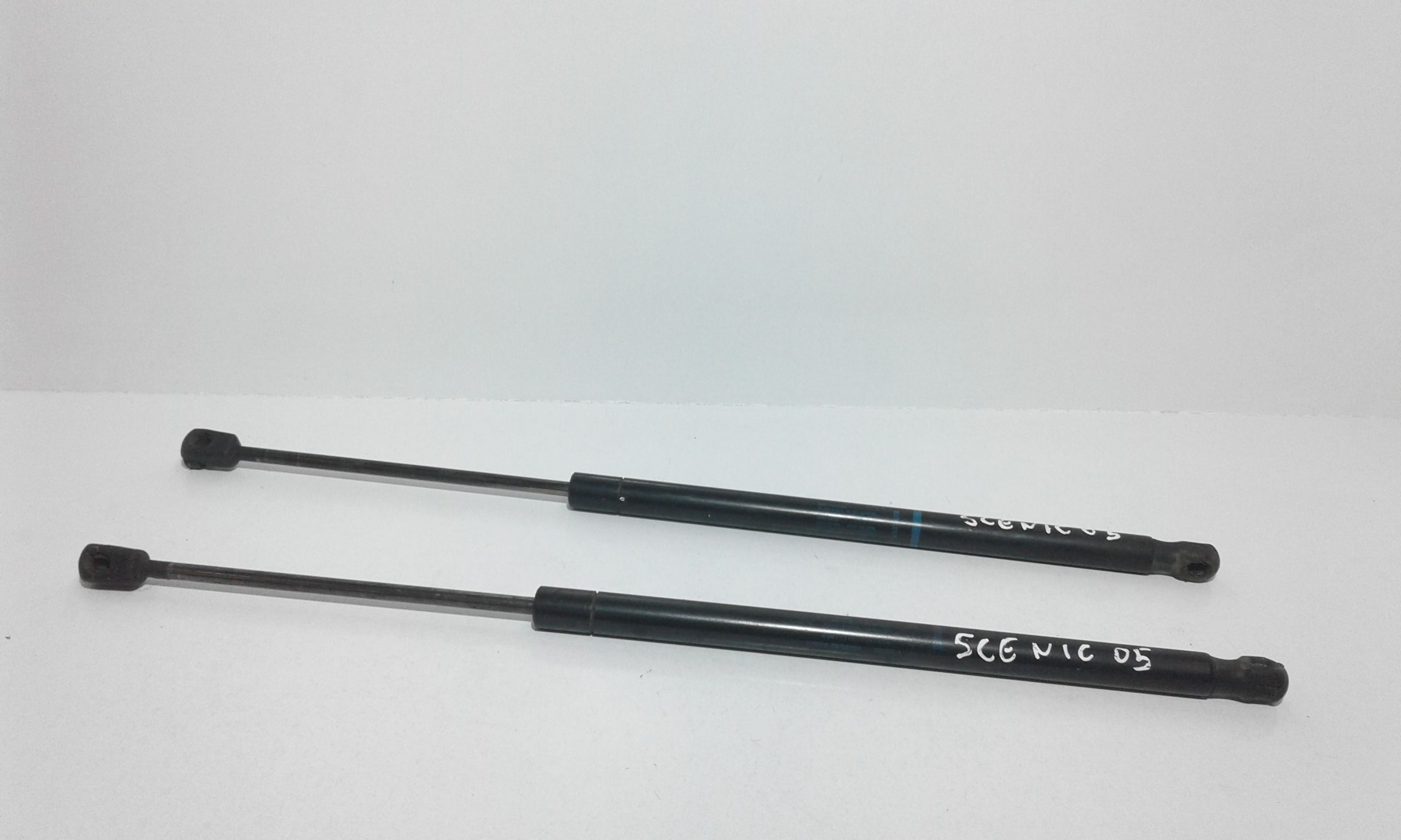 Pistoncini cofano Post. RENAULT Scenic 3 Serie