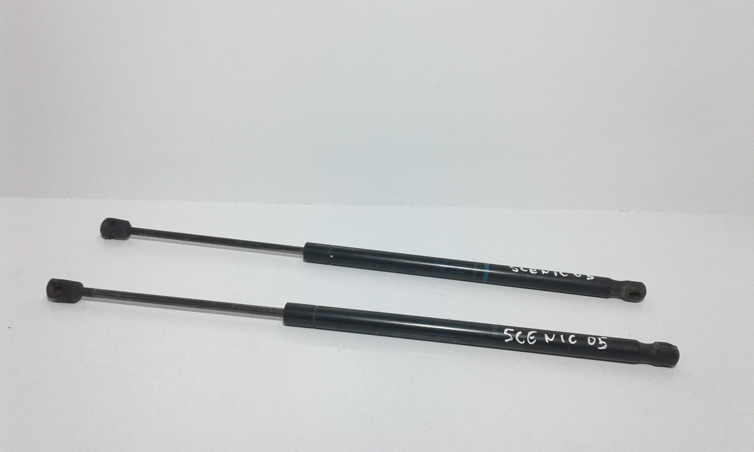 Pistoncini cofano Post. RENAULT Scenic 3 Serie