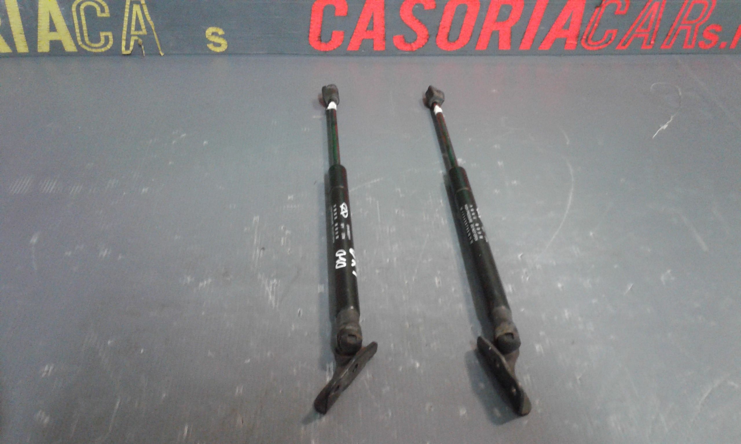 Pistoncini cofano Post. DR 1 1 Serie