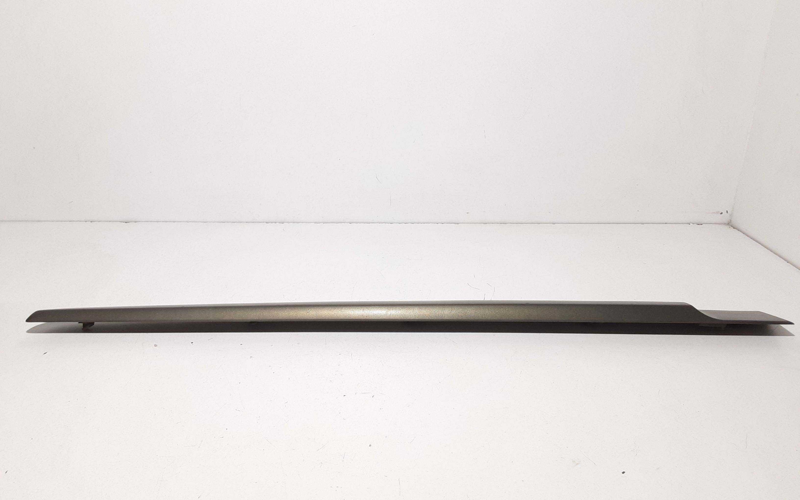 Modanatura porta posteriore DX passeggero RENAULT Scenic Serie (03>09)