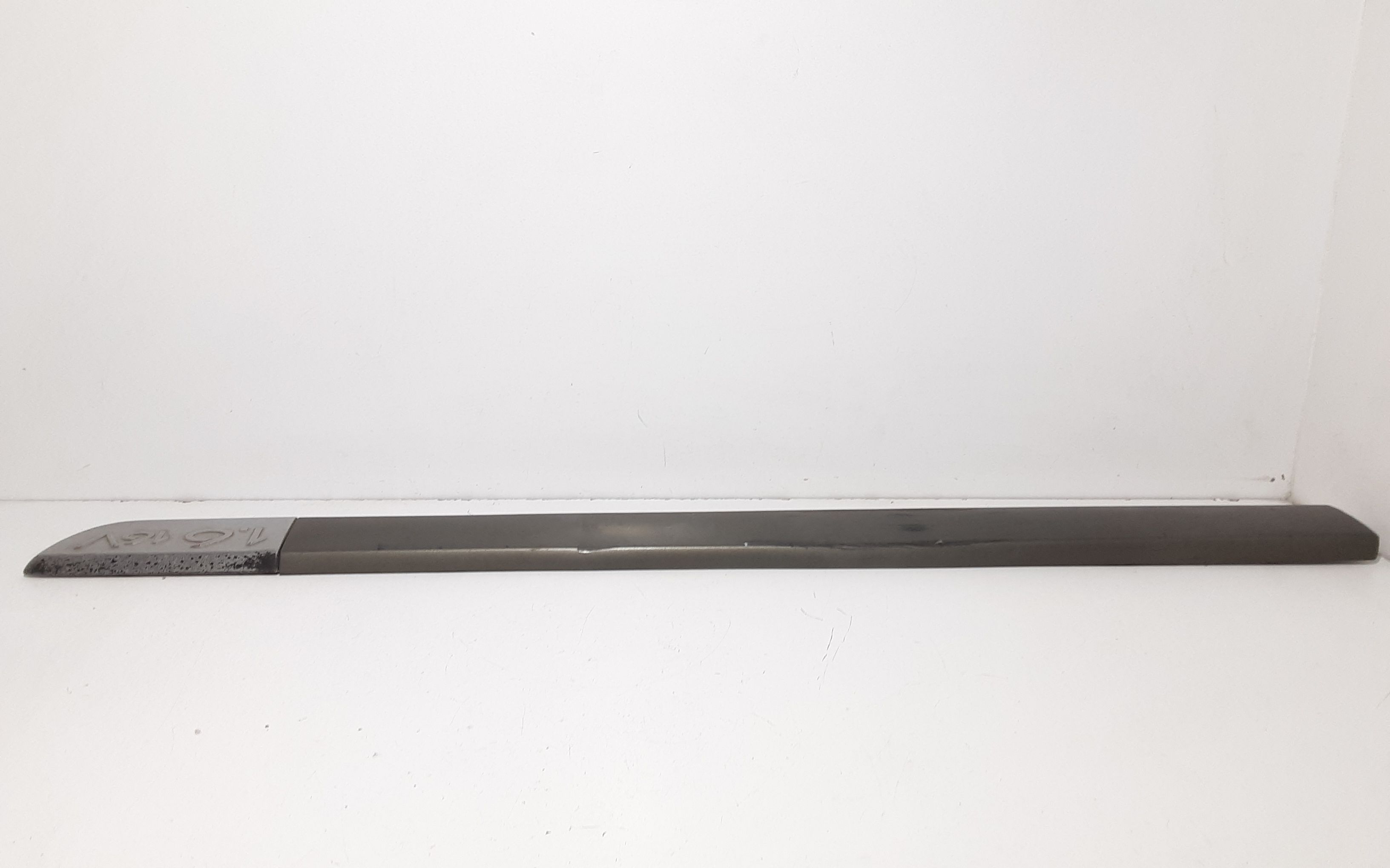 Modanatura porta ant SX guida RENAULT Scenic Serie (03>09)