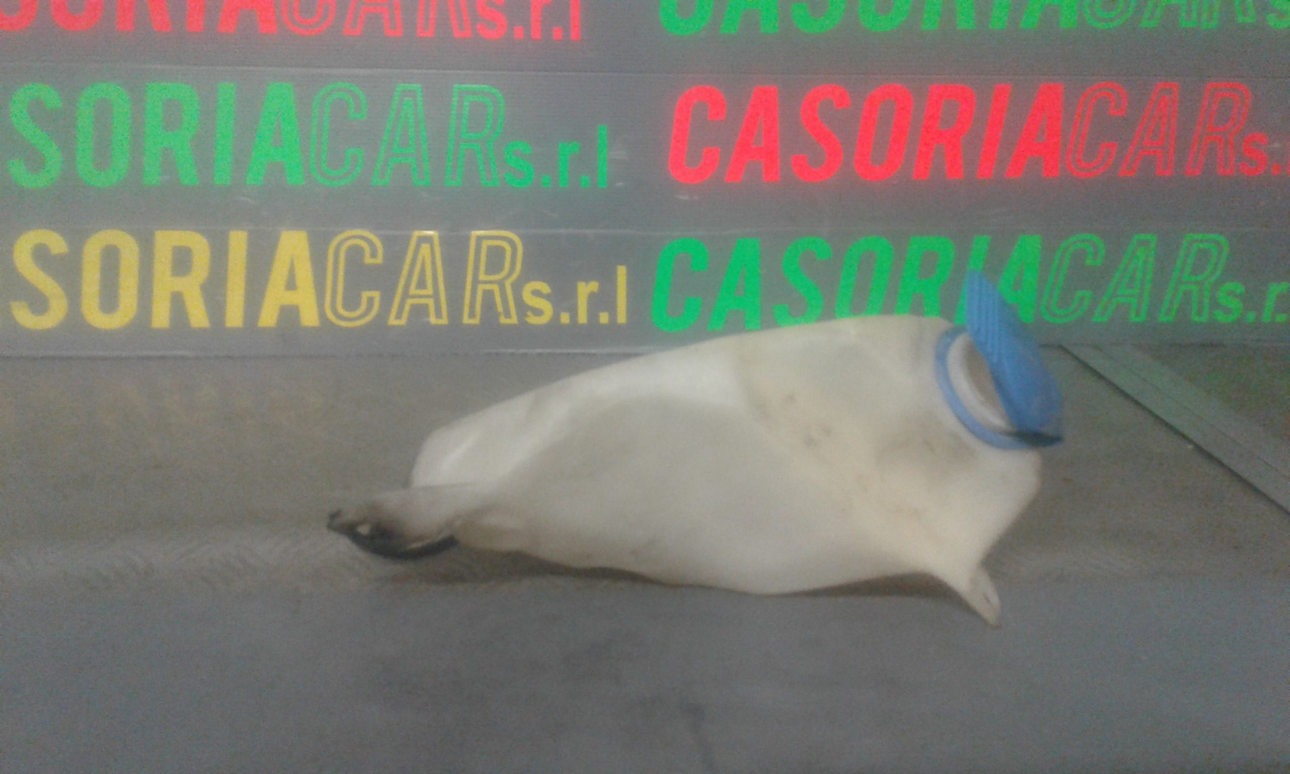 Vaschetta liquido radiatore VOLKSWAGEN Polo 4 Serie