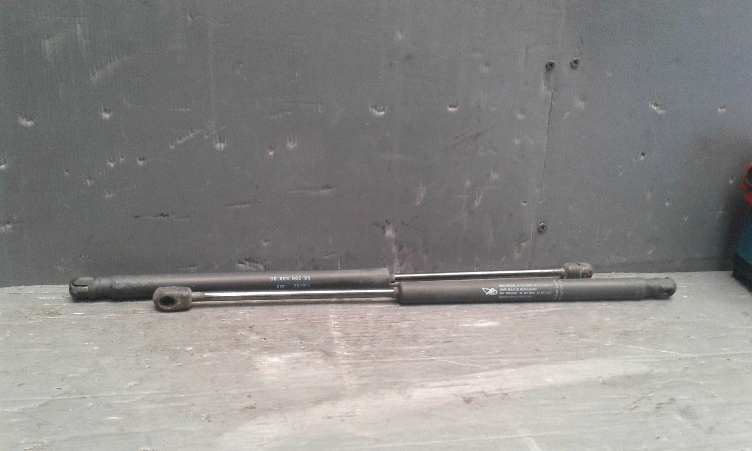 Pistoncini cofano Post. CITROEN C3 1 Serie