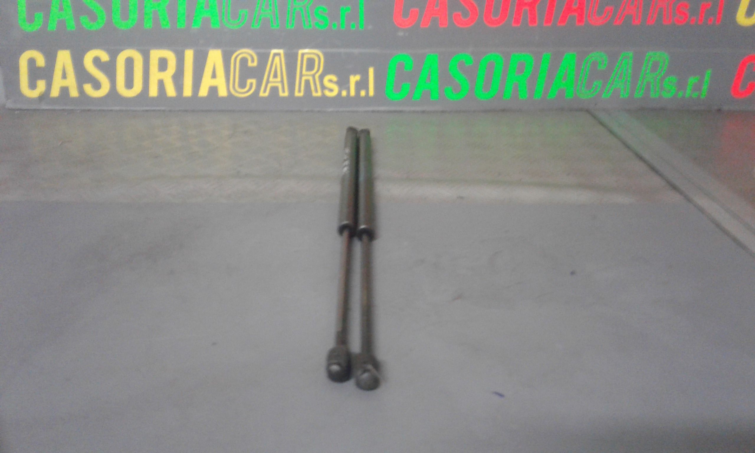 Pistoncini cofano Post. RENAULT Scenic 2 Serie