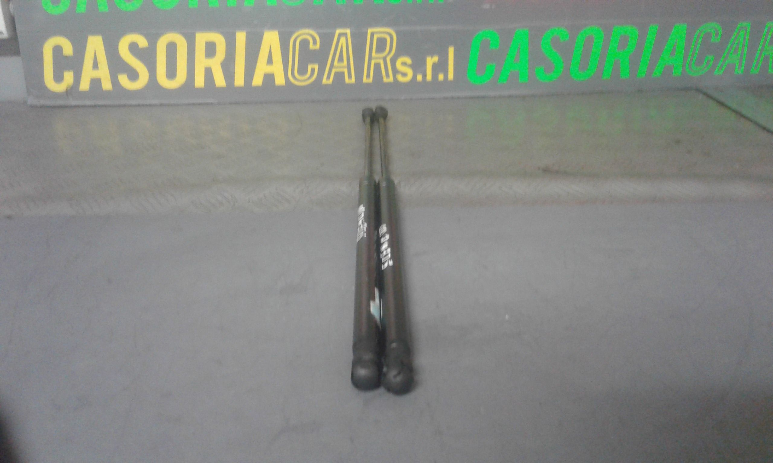 Pistoncini cofano Post. RENAULT Scenic 2 Serie