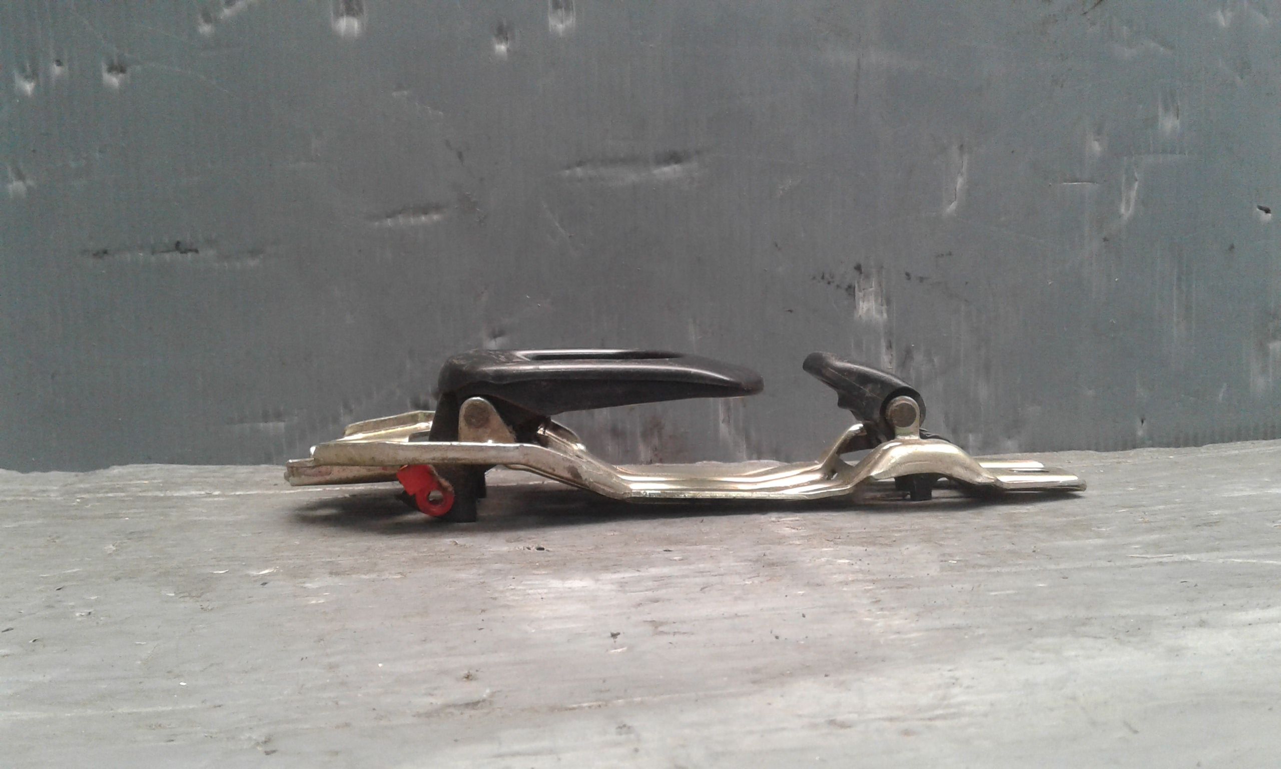 Maniglia interna Posteriore Destra TATA Indigo 1  Serie